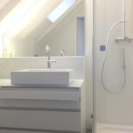 Carouge Loft Apartment Geneva