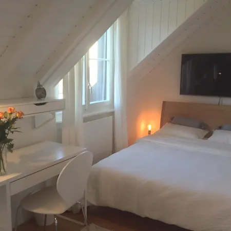 Carouge Loft Apartment *