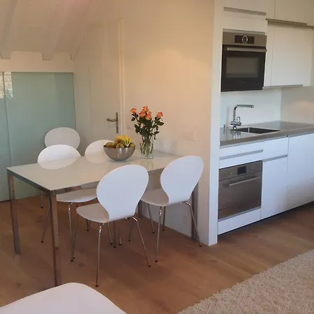 Carouge Loft * Geneva