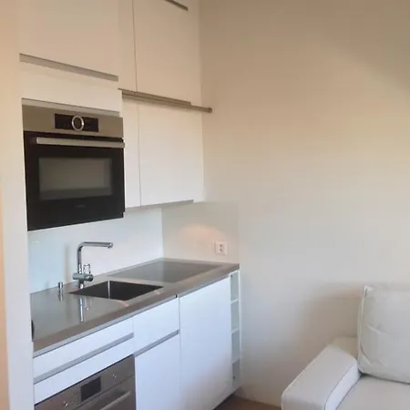 Apartment Carouge Loft