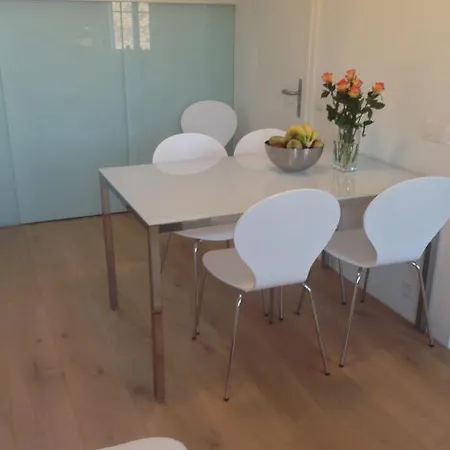 Carouge Loft Apartment *