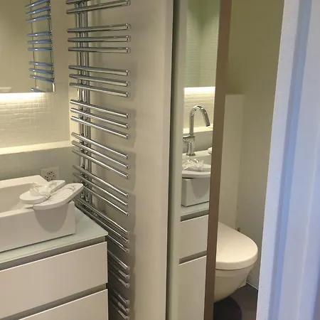Carouge Loft Geneva
